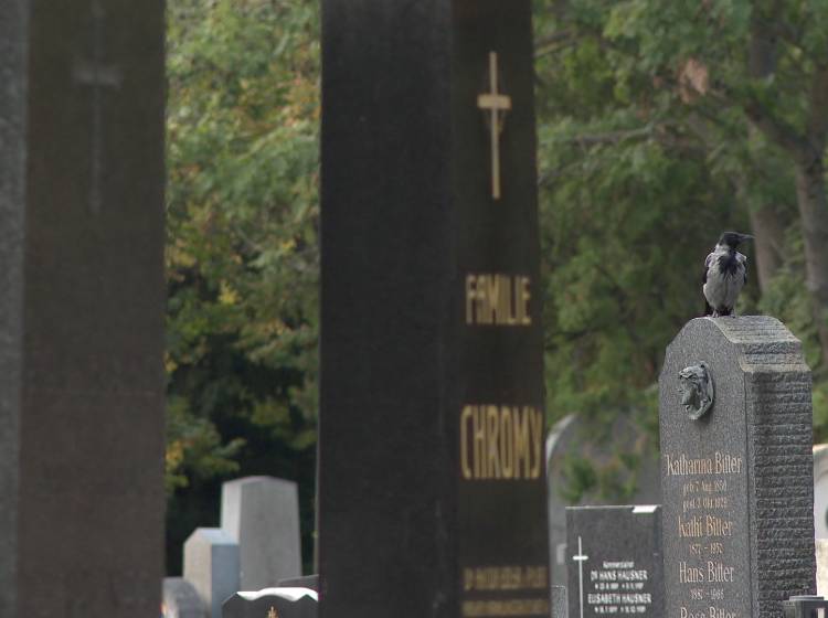 Friedhöfe: Sterben spürbar teurer