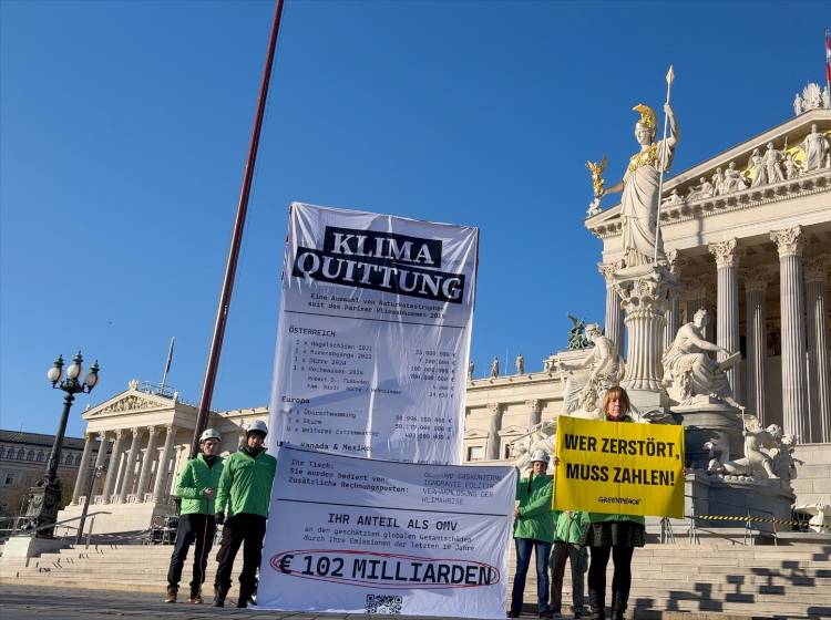 "Fossile Konzerne müssen zahlen"