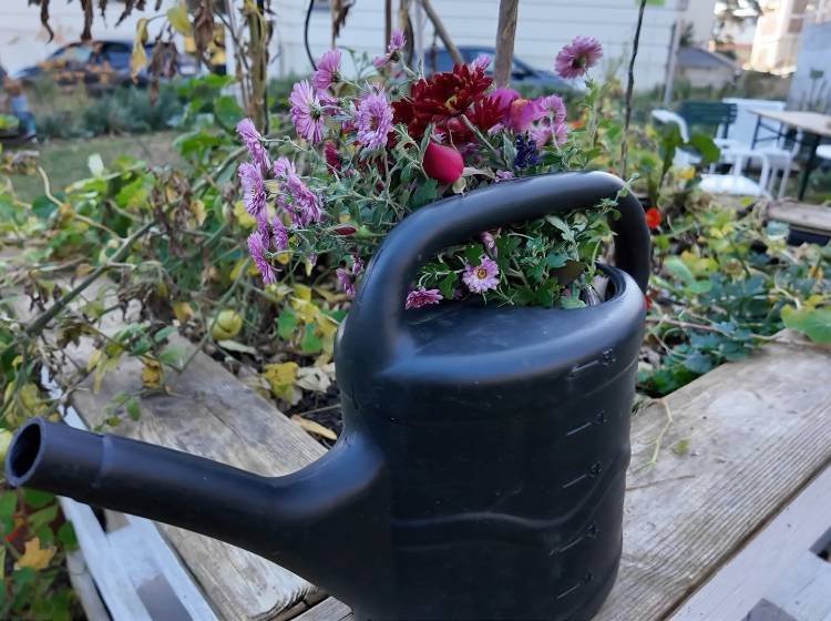 Bezirksflash: Preis für Klinik Hietzing