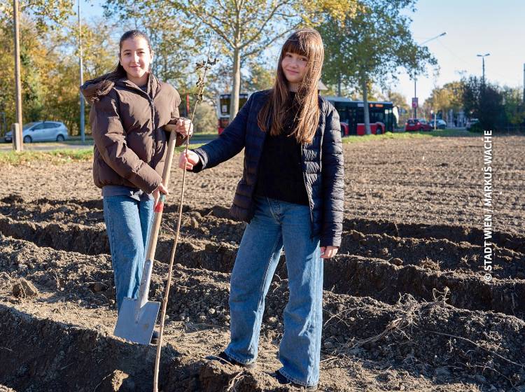 Bezirksflash: Neuer Wald in der Donaustadt