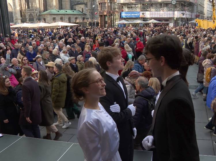 Ballsaison-Start vorm Stephansdom