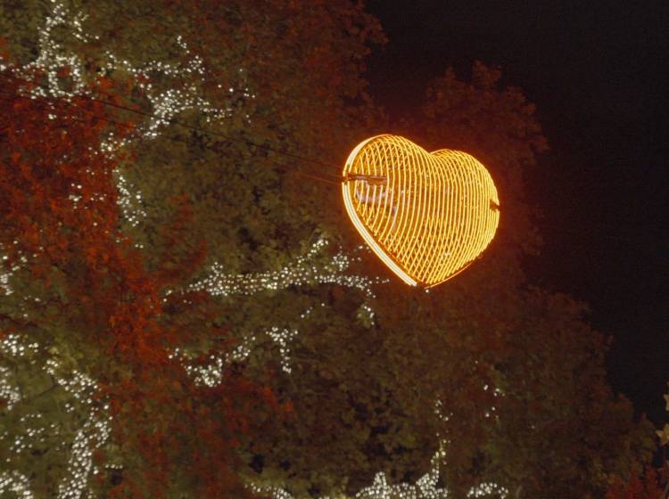 Wiener Herzerlbaum leuchtet wieder