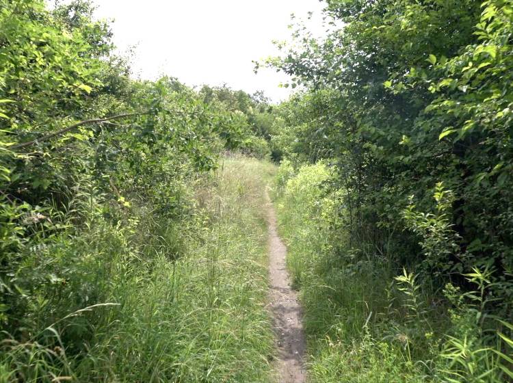 Breitenlee: Ab sofort Natura 2000 Europa-Schutzgebiet