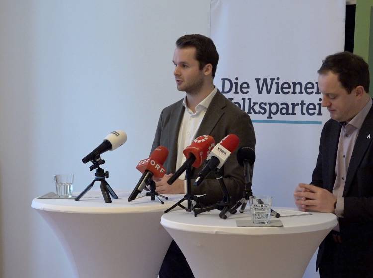 Grüne und ÖVP wollen Großprojekte prüfen