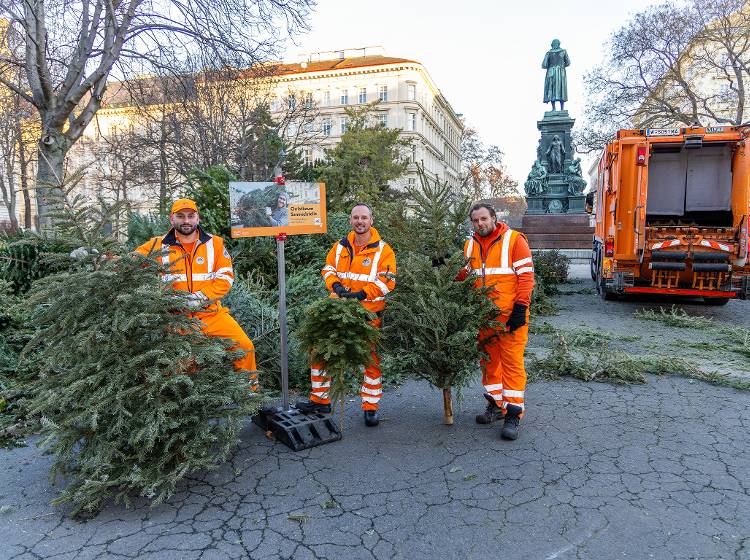 Wien verwandelt Weihnachtsbäume in Strom und Fernwärme