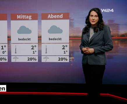 24 Stunden Wien Wetter: Grau, Temperaturen um Null Grad