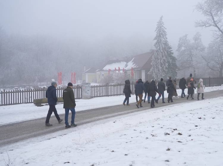 Winterwanderung im Lainzer Tiergarten