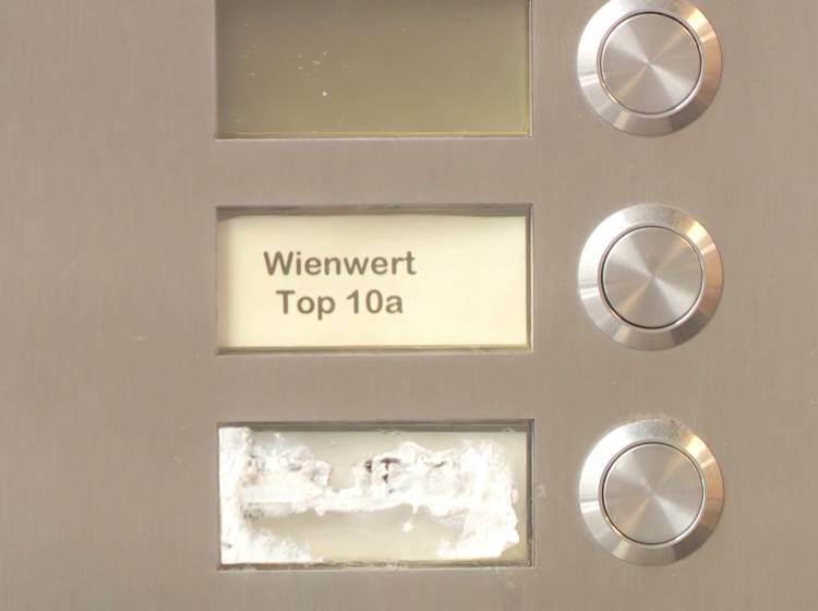 Causa Wienwert: Verhandlung hat begonnen