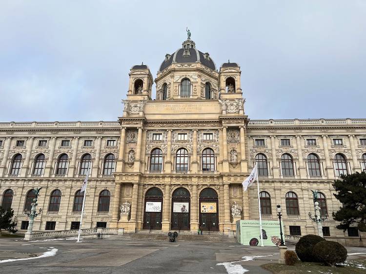 Naturhistorisches Museum startet ins Jubiläumsjahr 2026