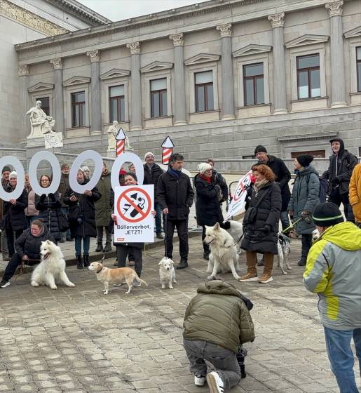 Bellen gegen Böllern: Initiative sammelt 150.000 Stimmen