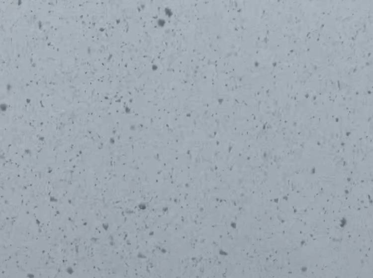 Kurzer, heftiger Wintereinbruch in Wien