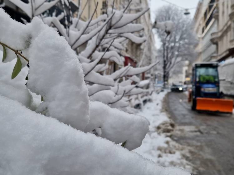 Kurz, heftig und weiß: Wien wacht im Winterwunderland auf