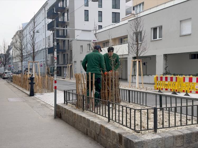 Bezirksflash: Umgestaltung Seidengasse fast abgeschlossen