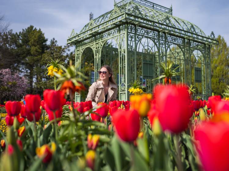 Frühjahrsstart in den Blumengärten Hirschstetten