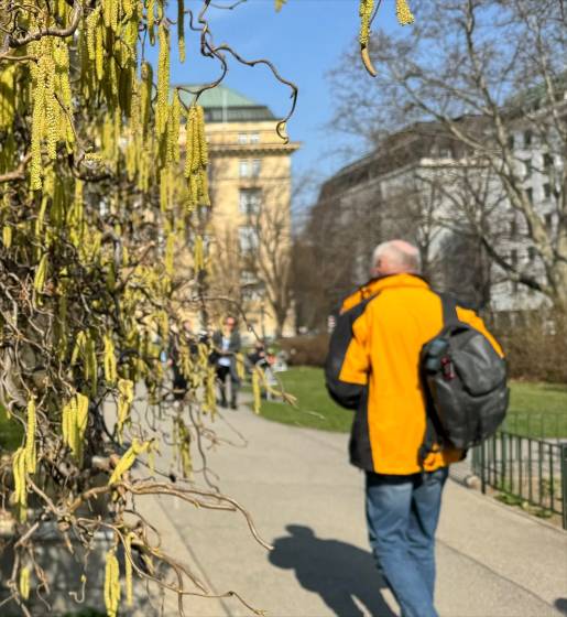 Pollensaison 2026 startete abrupt und bleibt pollenreich