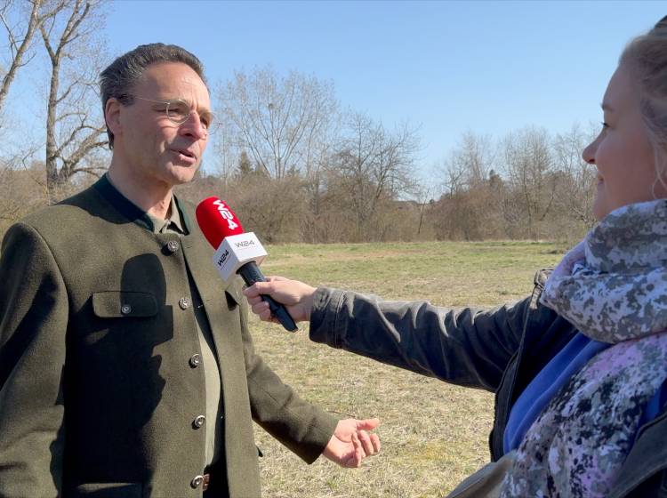 Trockenrasen: „Da sind schon die Mammuts drübergezogen“