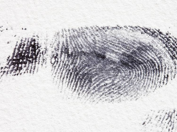 Polizei: Fingerabruck-Scan über Diensthandy