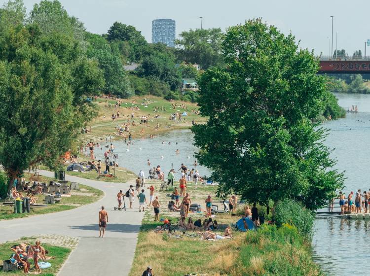 Donauinsel: "Lido vor der Haustür"