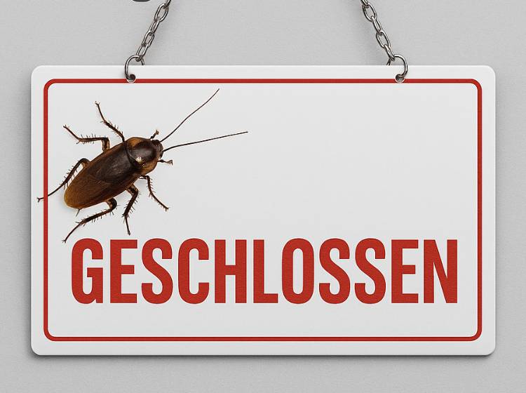 Schwerpunktaktion: Brigittenauer Bäckerei wegen Küchenschaben geschlossen