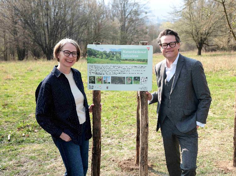 Schutz für seltene Arten: Info-Kampagne für Salzwiese in Penzing