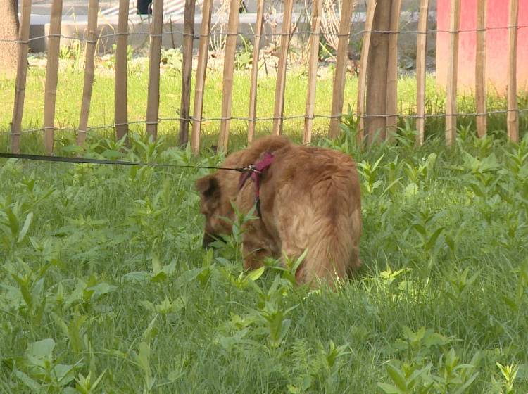 Bezirksflash: Aufklärung im Klieberpark
