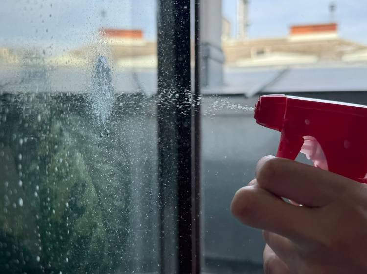 Frühjahrsputz: "Saugen, Aufwischen, Wegräumen... Alles!"