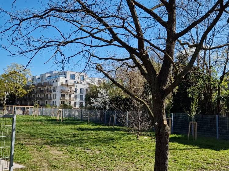 Bezirksflash: Parkanlage "Don-Bosco-Wiese" ist geöffnet