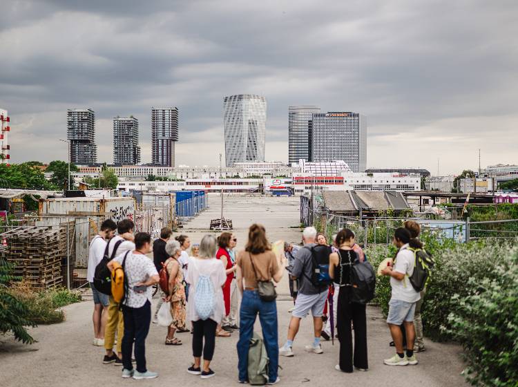 Kostenlose Wien-Touren starten mit Rekordprogramm