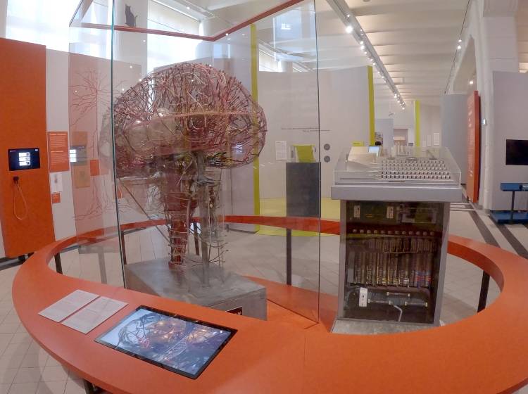 Wissenschaft: "Immer neugierig bleiben"