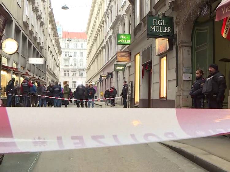 Wiener Mafia-Mord: Verdächtiger von Zielfahndern in Italien gefasst