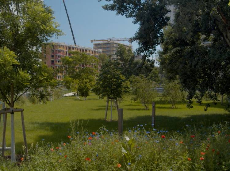 Bezirksflash: Bert Brecht-Park bald fertig