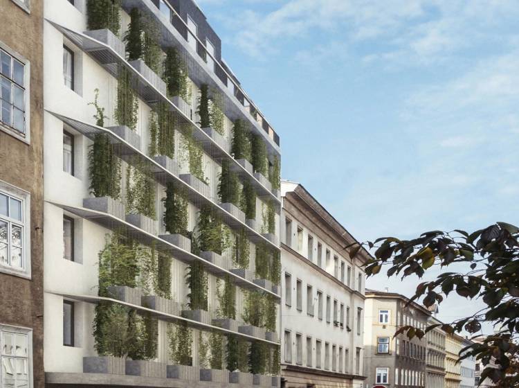 Gemeindebau Neu: Gleichenfeier in der Spengergasse