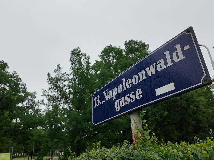 Bezirksflash: Stadt soll Napoleonwald prüfen