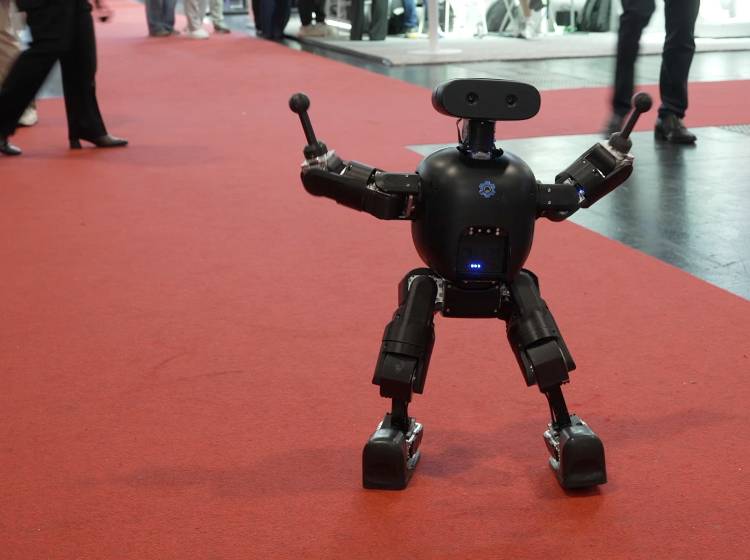 Wenn Roboter durch Wien ziehen