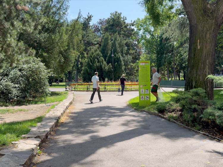 Bezirksflash: Der Arenbergpark wird umgestaltet