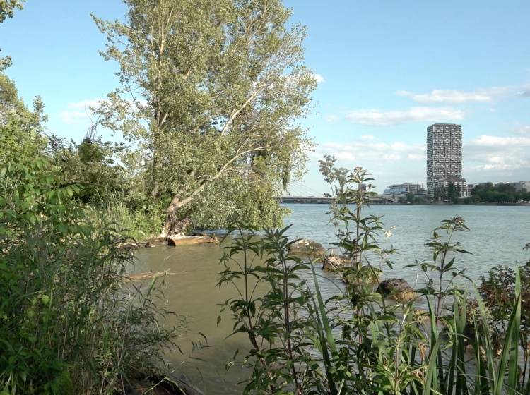 W24-Stadtbarometer zum Sommer: 4 von 10 werden nicht verreisen