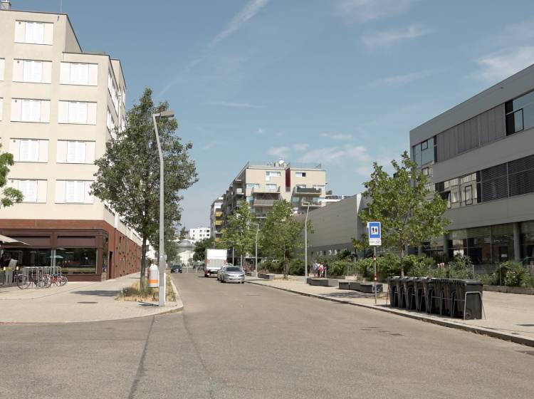 Raus aus dem Asphalt: Bäume für Schulvorplatz