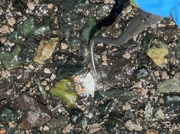 Asbest-Asphalt: Stadt Wien wird Hinweisen nachgehen