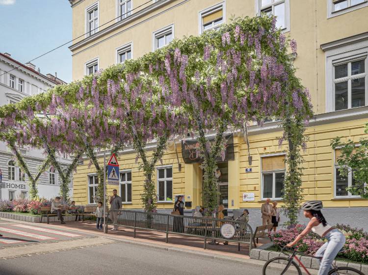 Bezirkflash: Klimahimmel für VS Corneliusgasse