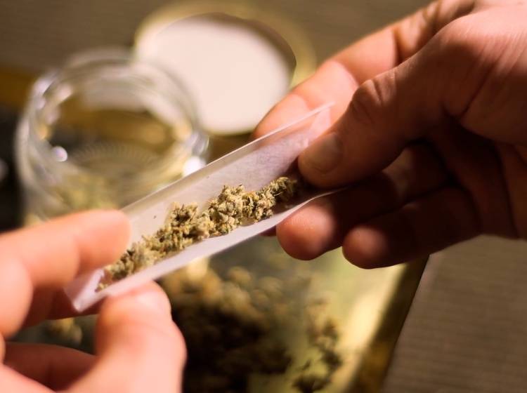 Drogenberatung: Anstieg von Kokain und synthetischem Cannabis