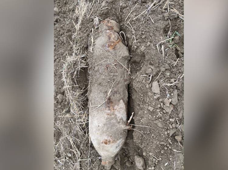 Donaustadt: Fliegerbombe in der Lobau entdeckt