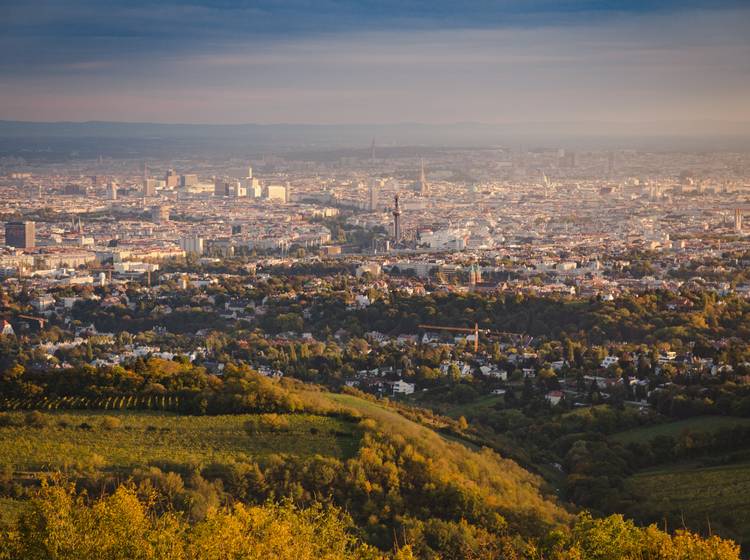 Zufriedenheit mit Schulen: Wien im EU-Vergleich im oberen Drittel