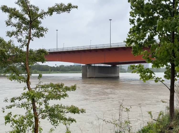 Dauerregen: Donau führt Hochwasser