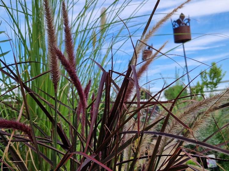 Wetter: Milder Start in die neue Woche